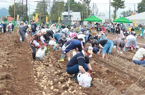 ほくほく祭り