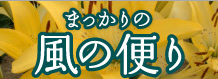 まっかりの風の便り