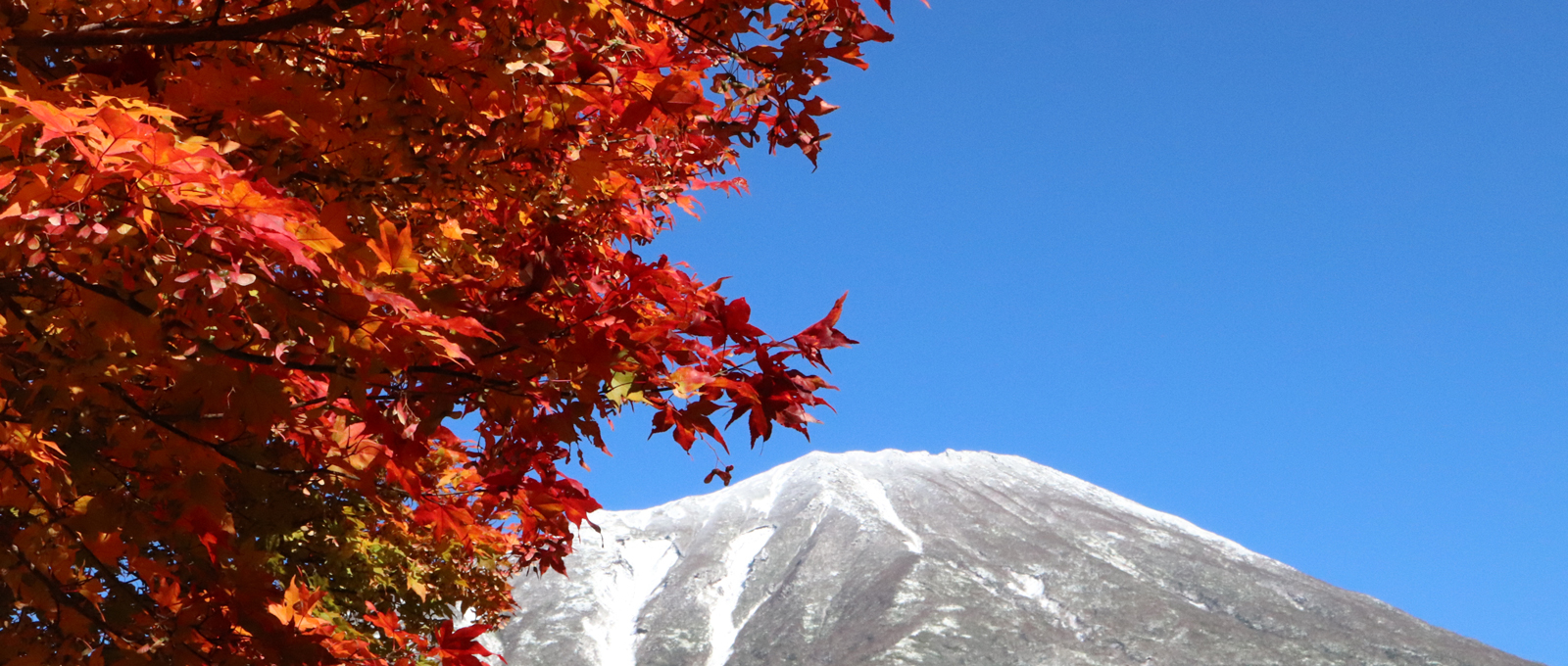 紅葉と羊蹄山