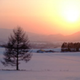 真狩村の雪景色